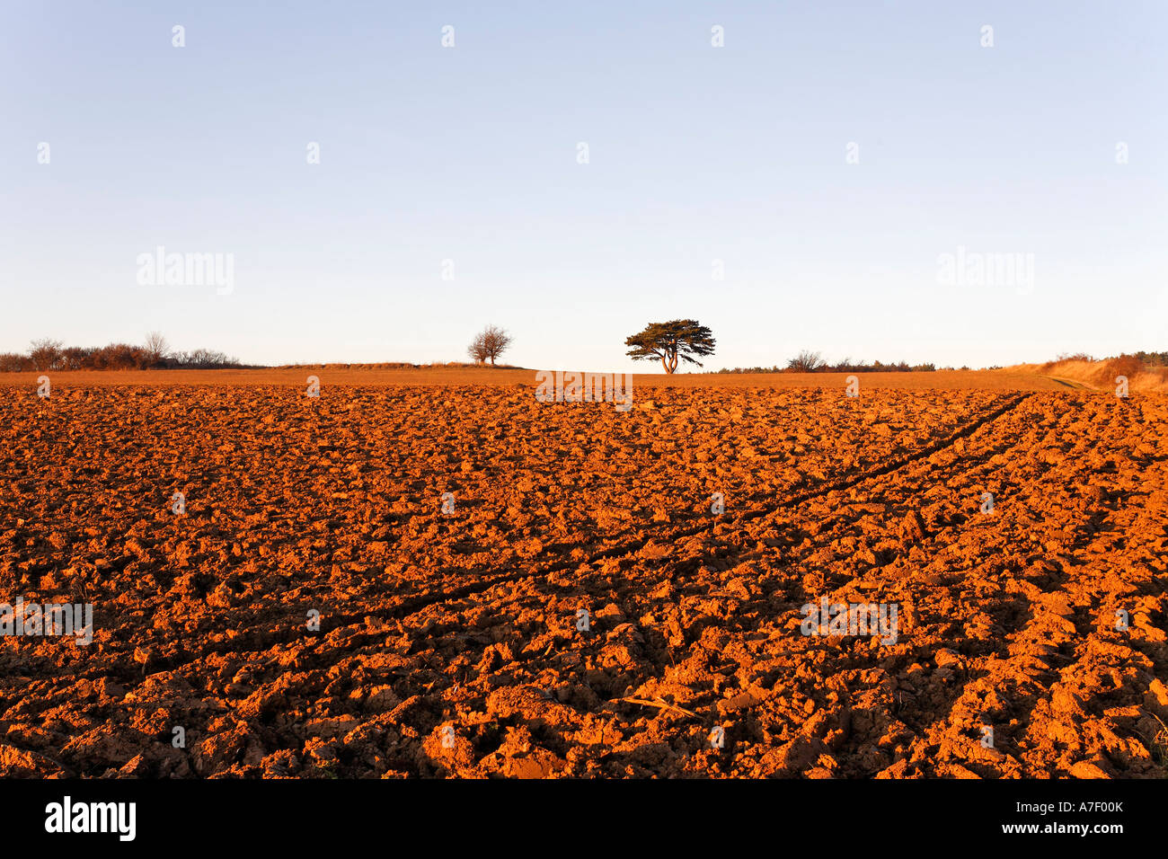 A ploughed field at sunset, Lower Austria, Austria Stock Photo