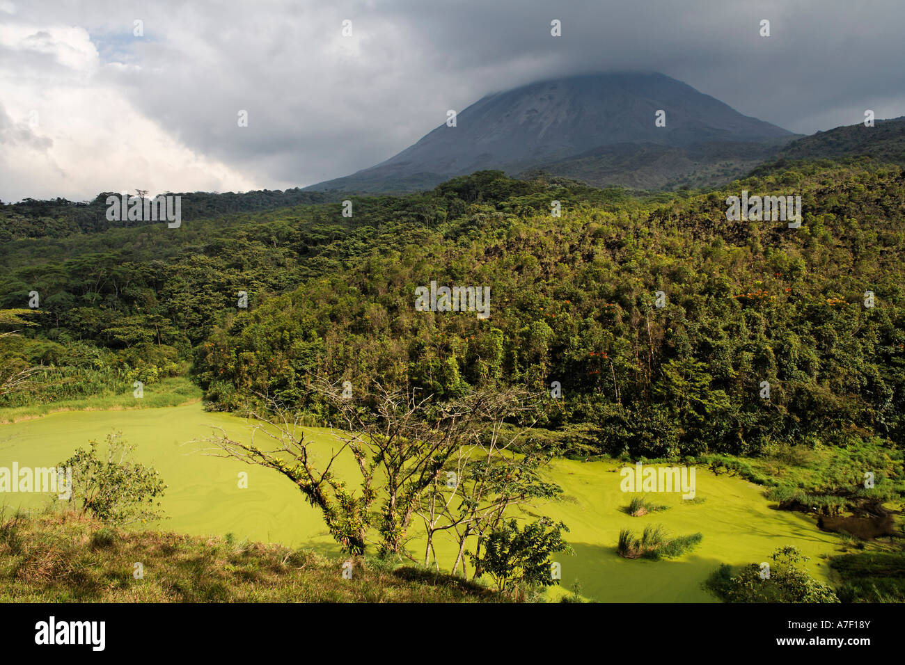 Green lake in private reserve El Silencio, Arenal volcano, Costa Rica Stock Photo