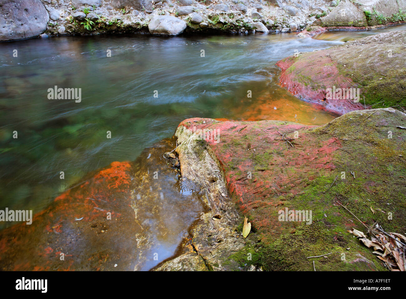 Poza Roja, Hacienda Guachipelin, Rincon de la Vieja, Guanacaste, Costa