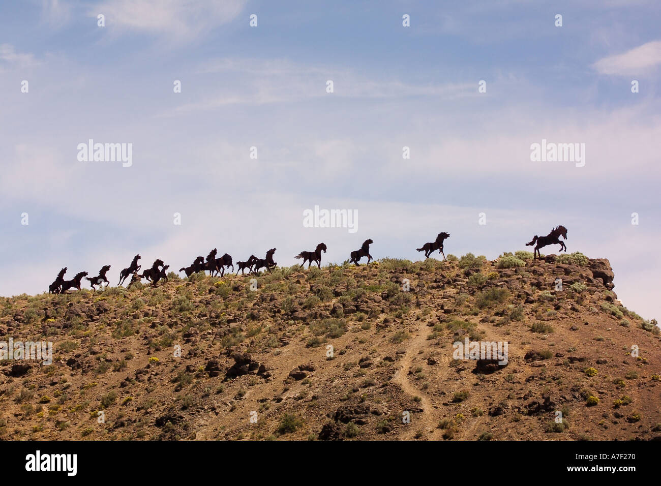 Wild horses sculpture washington hires stock photography and images