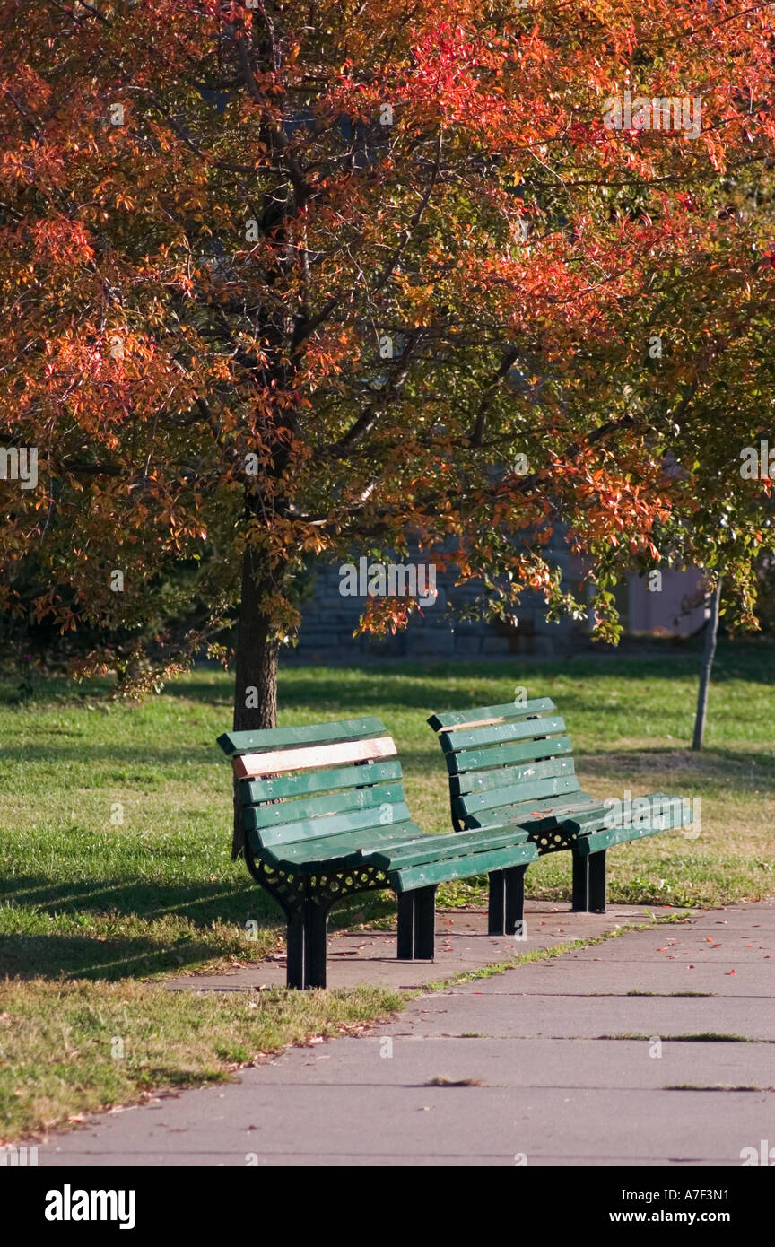 Stock photo of two green wooden benches in a park in autumn Stock Photo ...
