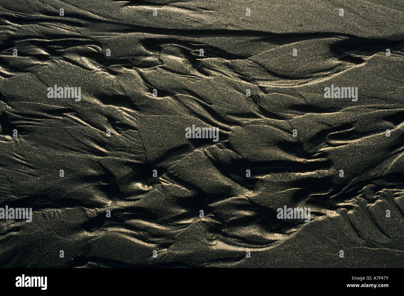 USA Alaska Setting sun lights water carved patterns in beach along ...