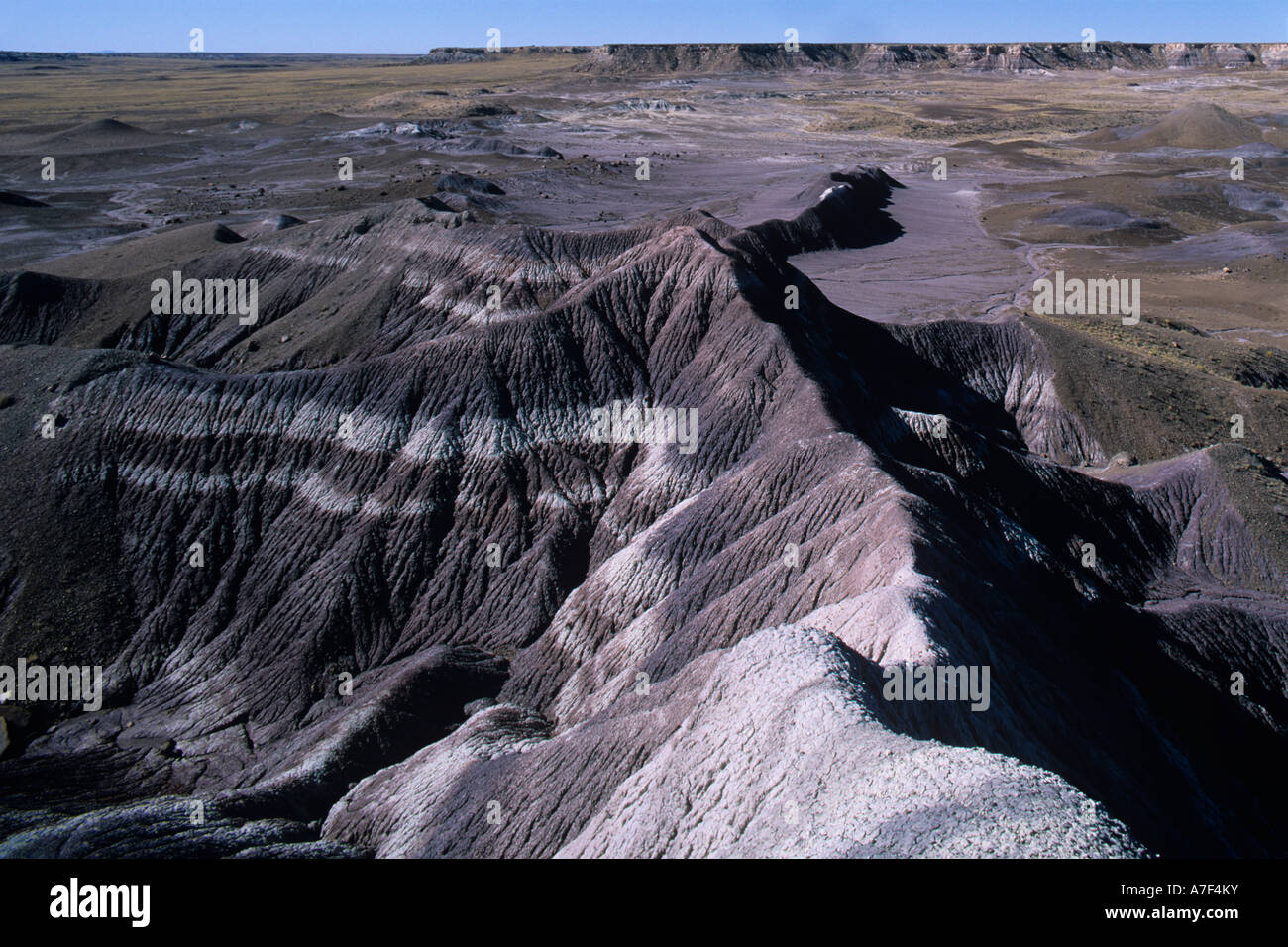 USA Arizona Petrified Forest National Park Morning sun lights eroded ...