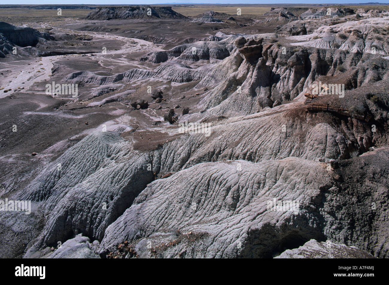 USA Arizona Petrified Forest National Park Morning sun lights eroded ...