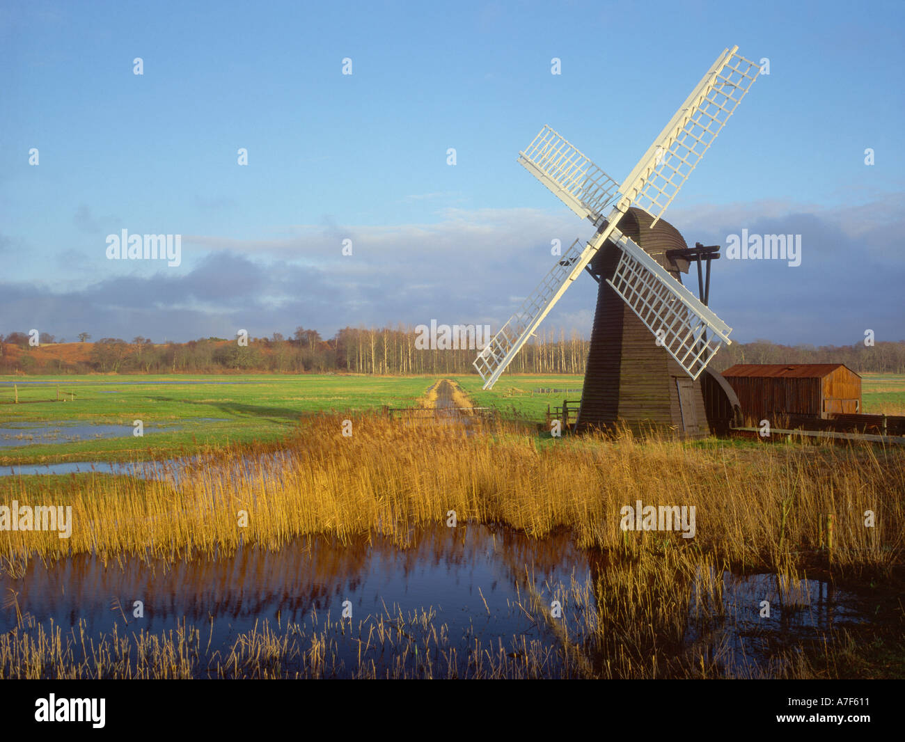 Herringfleet smock mill near Somerleyton in the Broads in Suffolk East ...