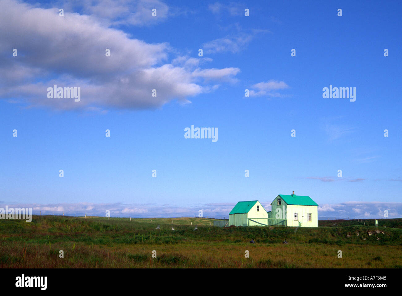 Green houses Flatey Iceland Stock Photo