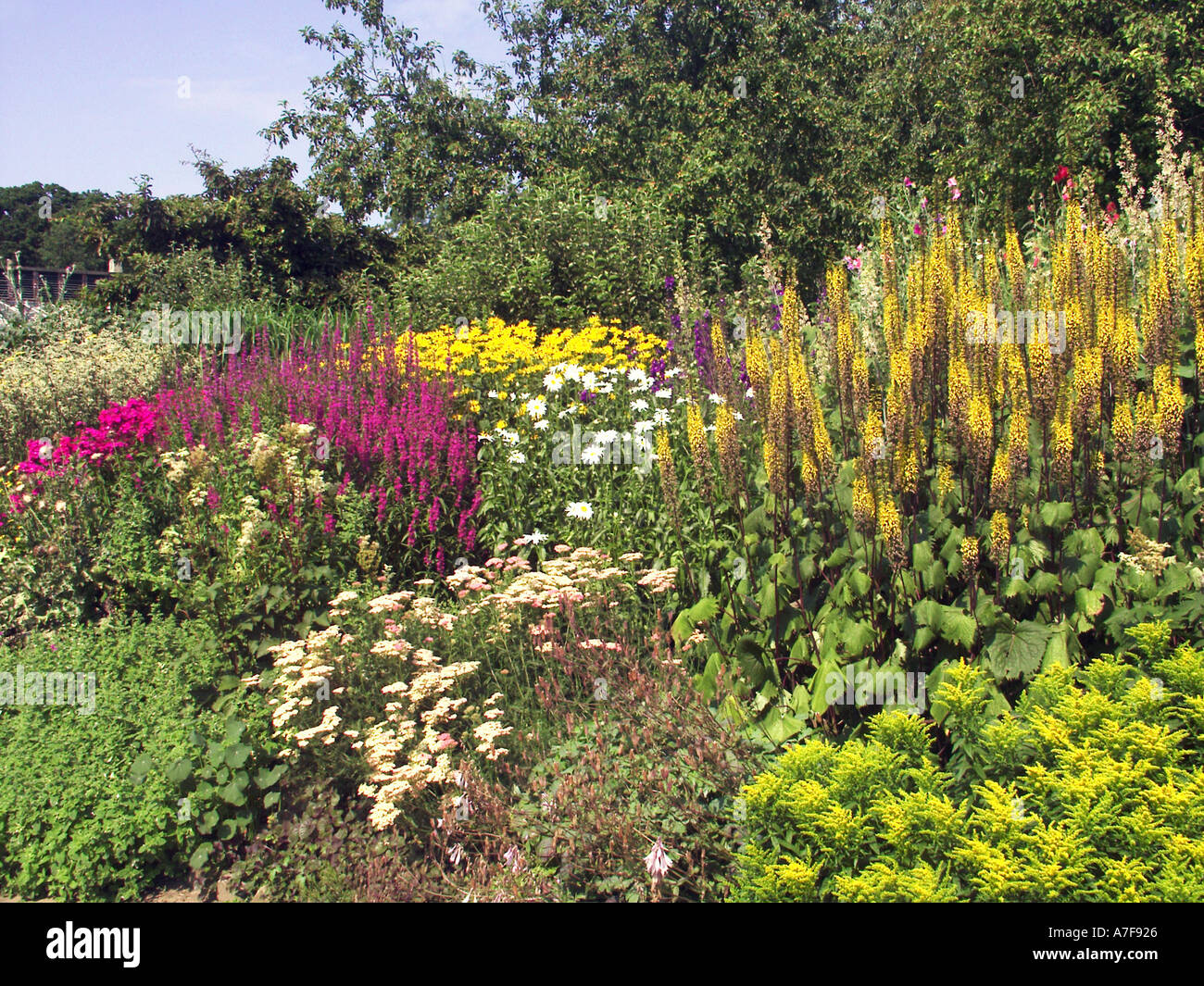 Perennial flower border hi-res stock photography and images - Alamy