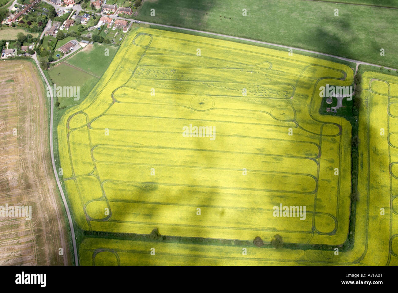 High level oblique aerial view north of large rape farmer field near