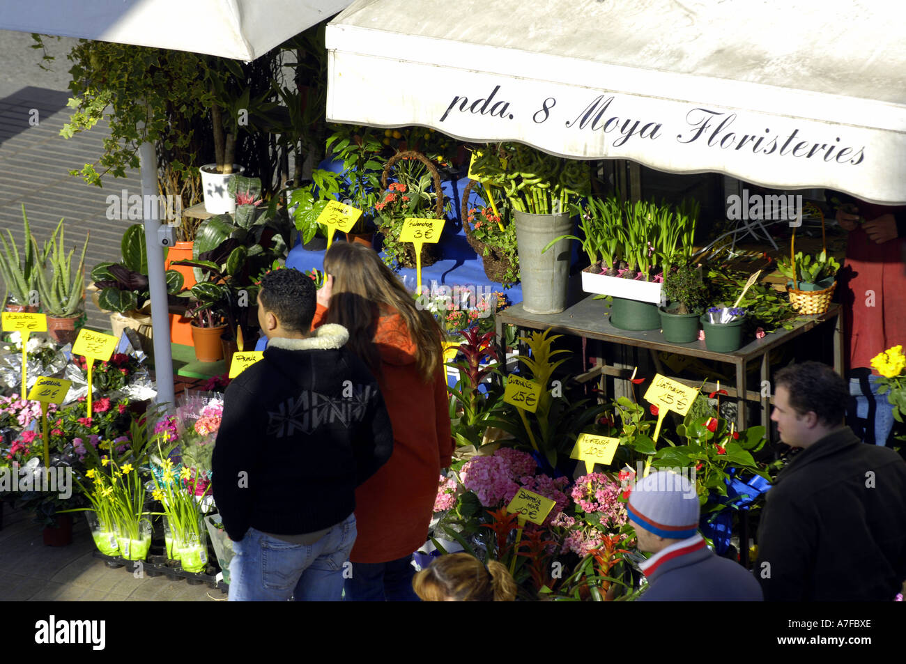 flower stall market florists pavement sidewalk la rambla barcelona ...