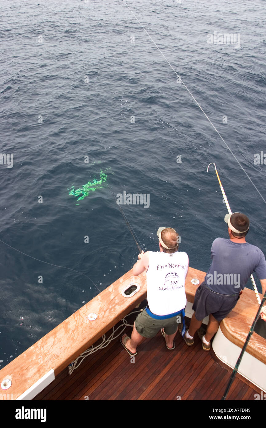 Catching a mahi mahi Stock Photo Alamy