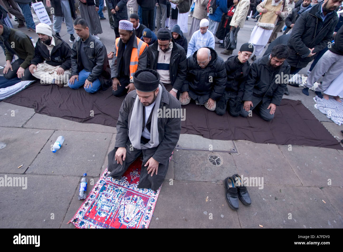 Muslim protester at Danish Cartoon meeting at Trafalgar square take time  out for prayers Stock Photo - Alamy
