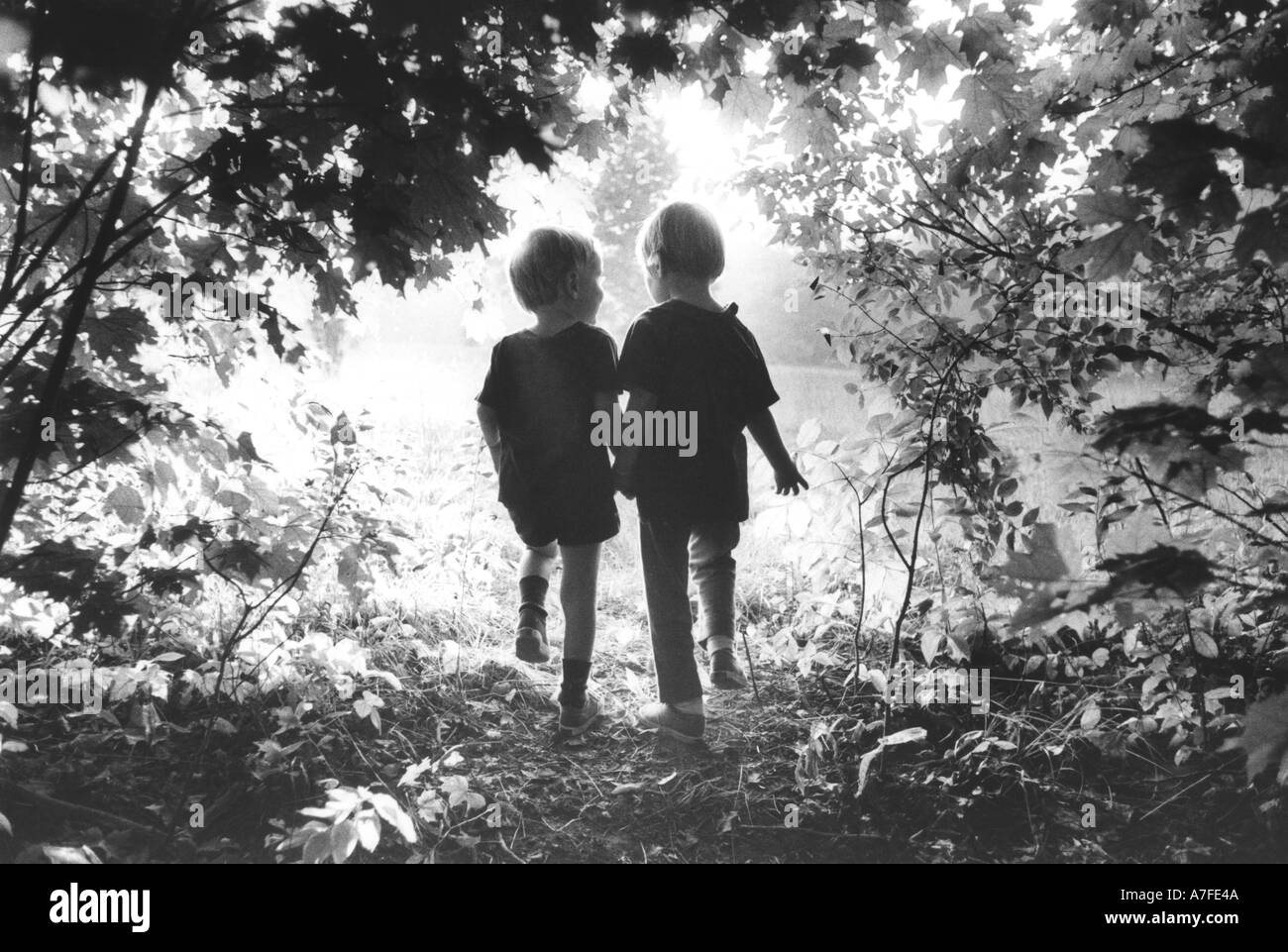 Silhouette of brother and sister walking through the woods together Stock Photo
