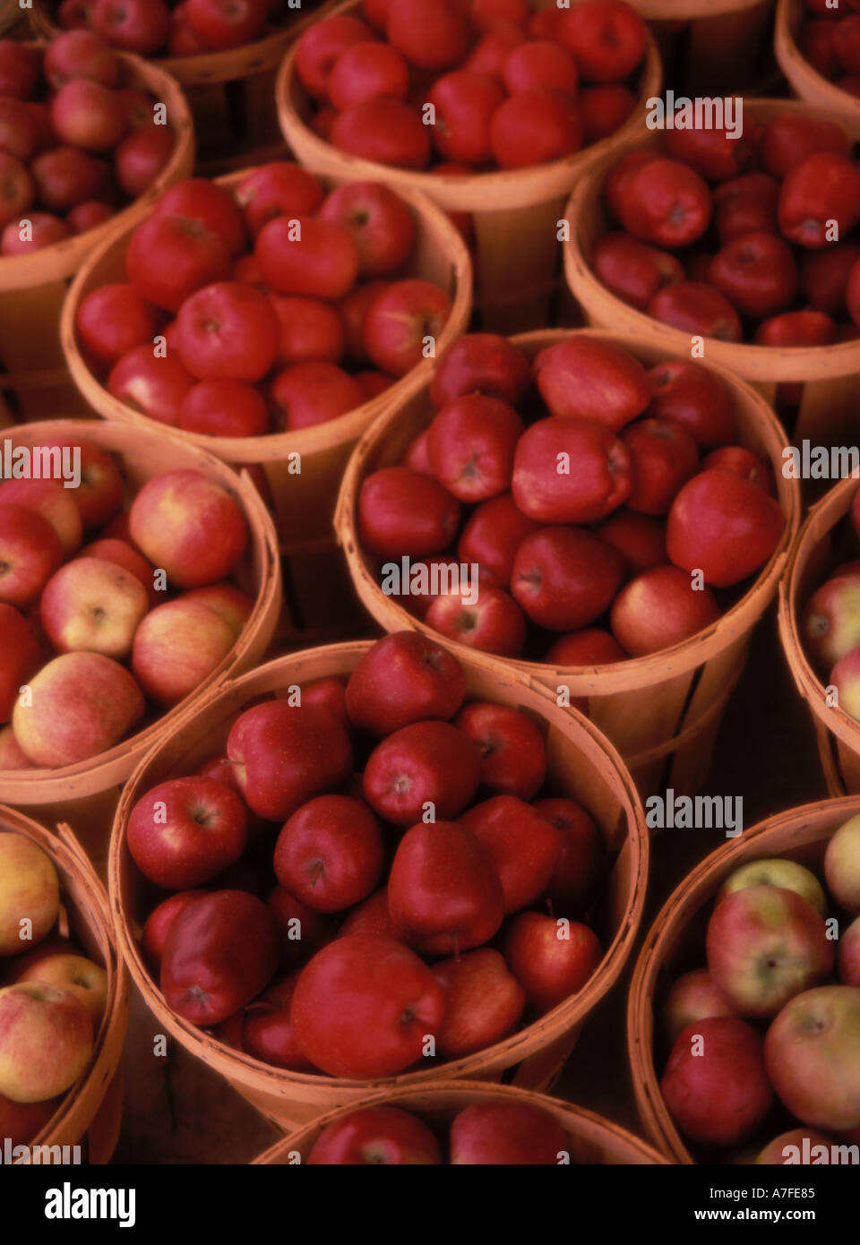 Bushels of apples Stock Photo Alamy