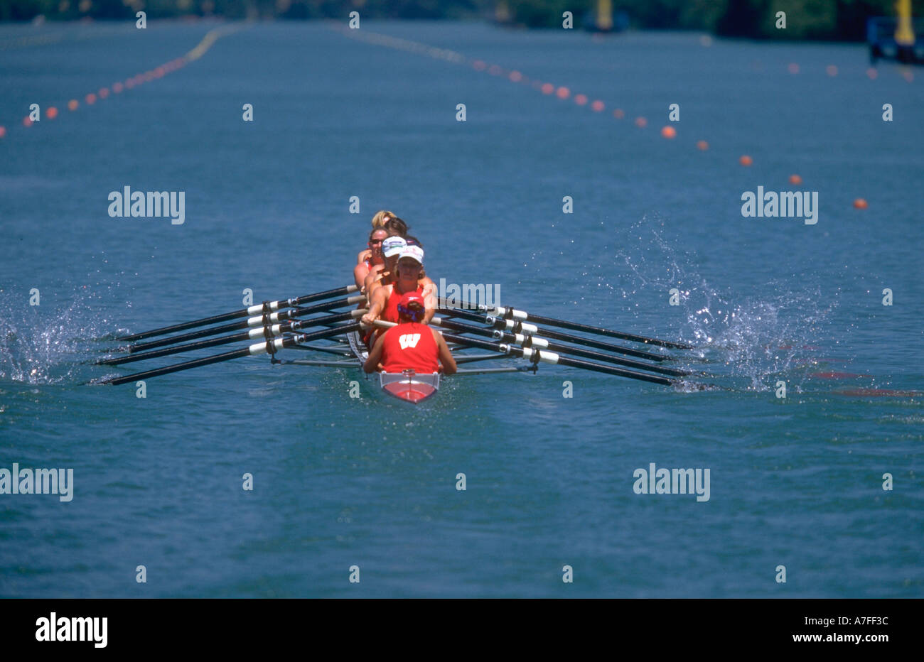 Women crew team rowing in a race Stock Photo Alamy