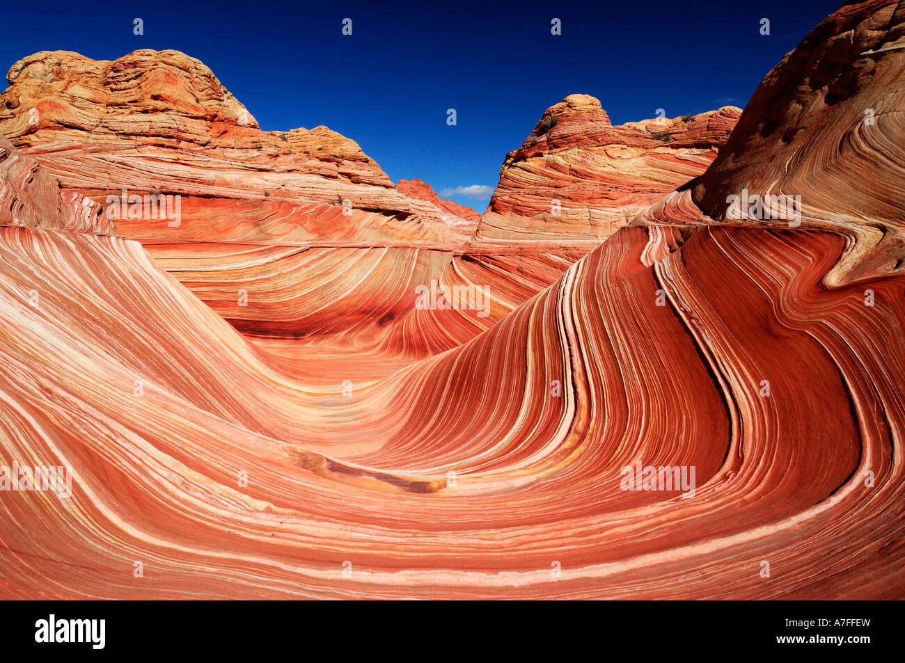 Arizona Utah Rocks Sandstone wave Untited States of America USA Arizona Utah Paria Canyon ...