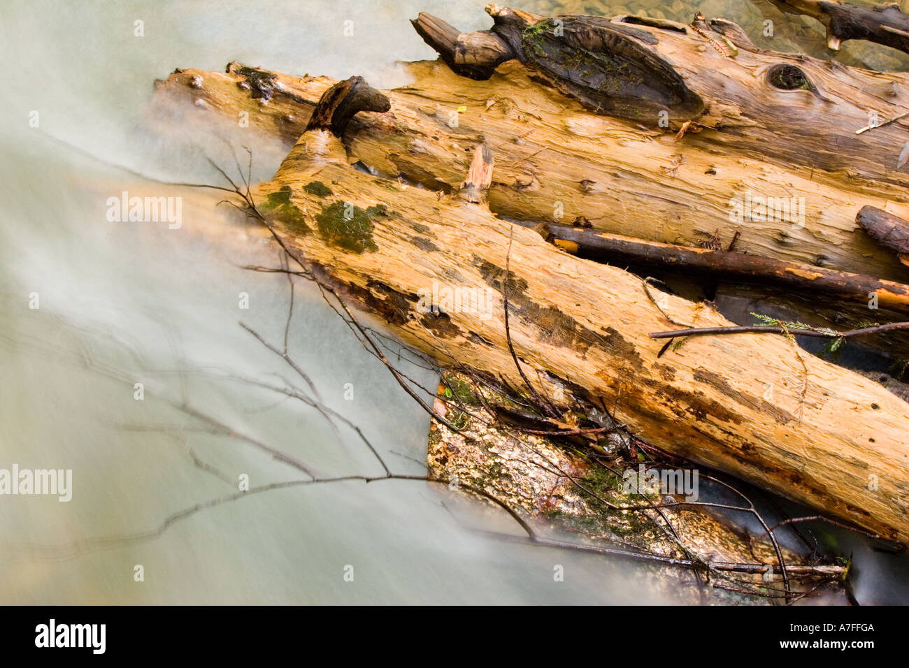 Tree branch snapped off hires stock photography and images Alamy