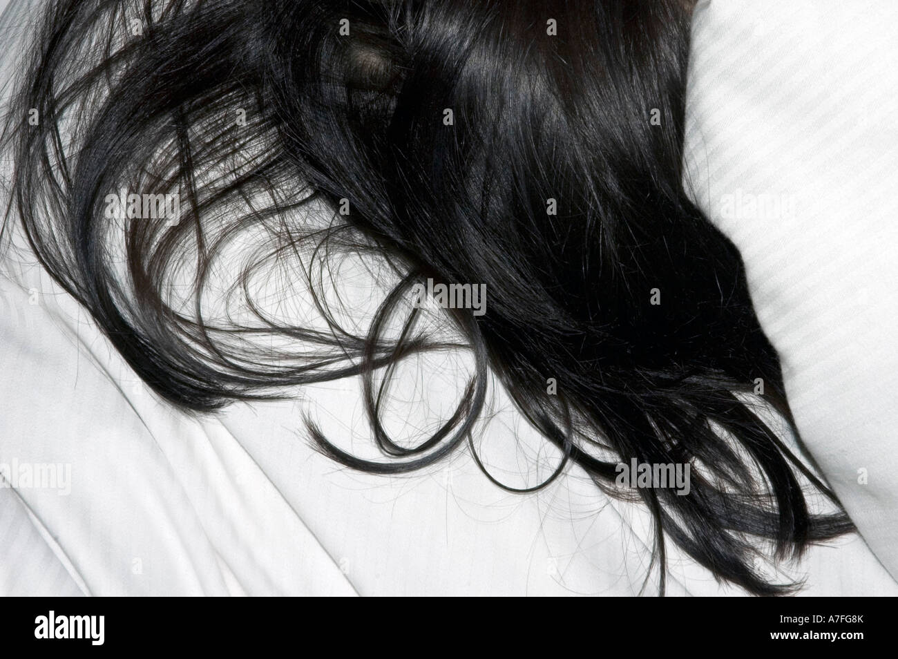 Black hair on pillow Stock Photo Alamy