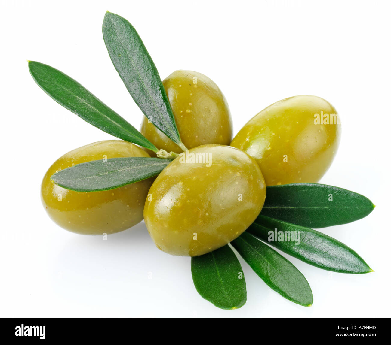 FOUR GREEN OLIVES Stock Photo