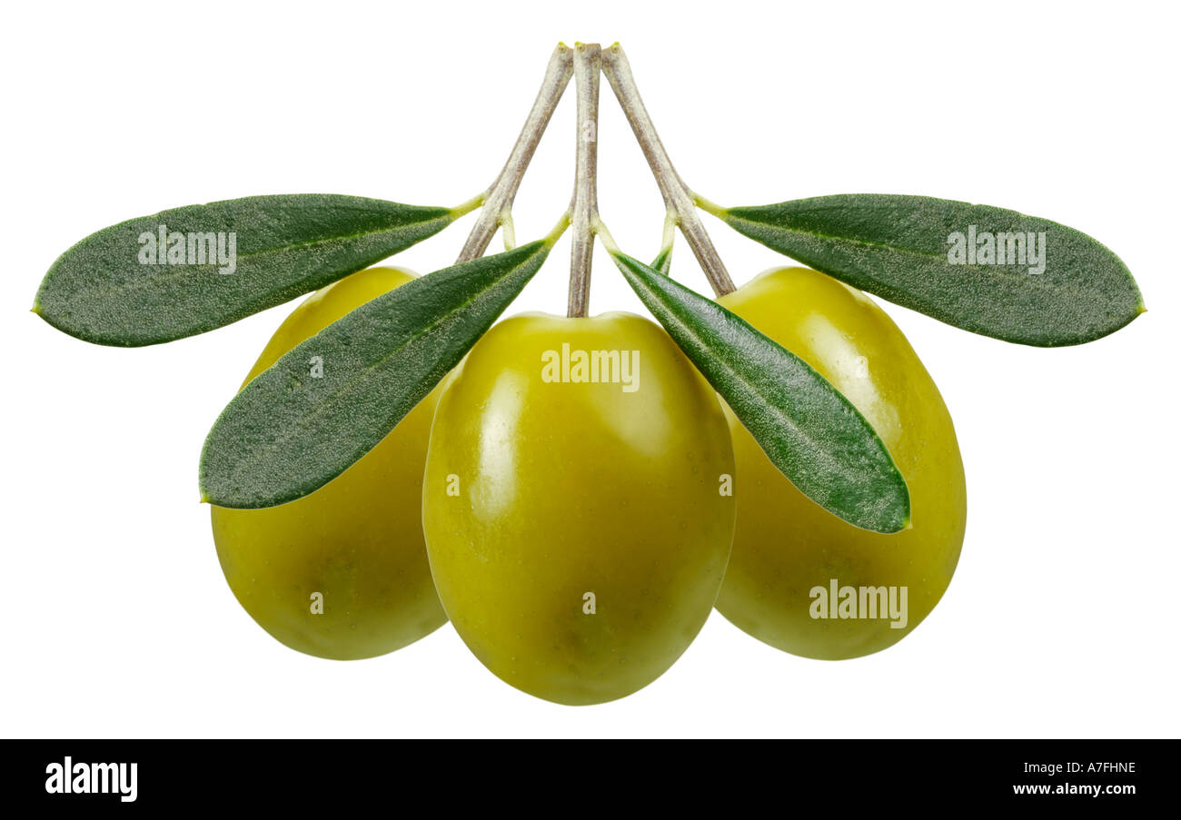 THREE GREEN OLIVES ON WHITE Stock Photo