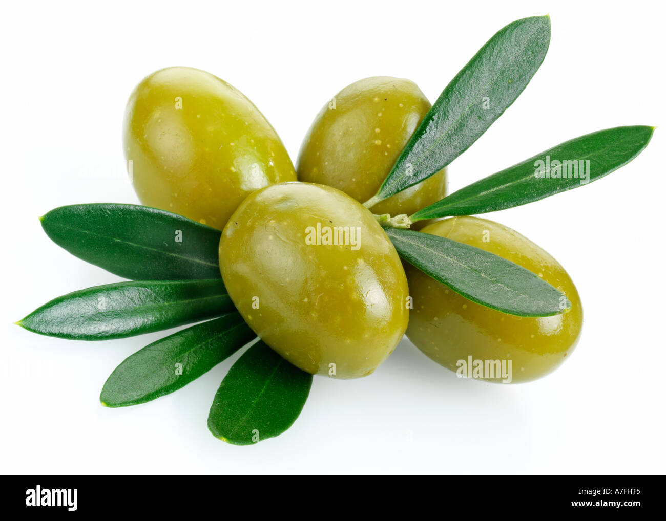 FOUR GREEN OLIVES Stock Photo