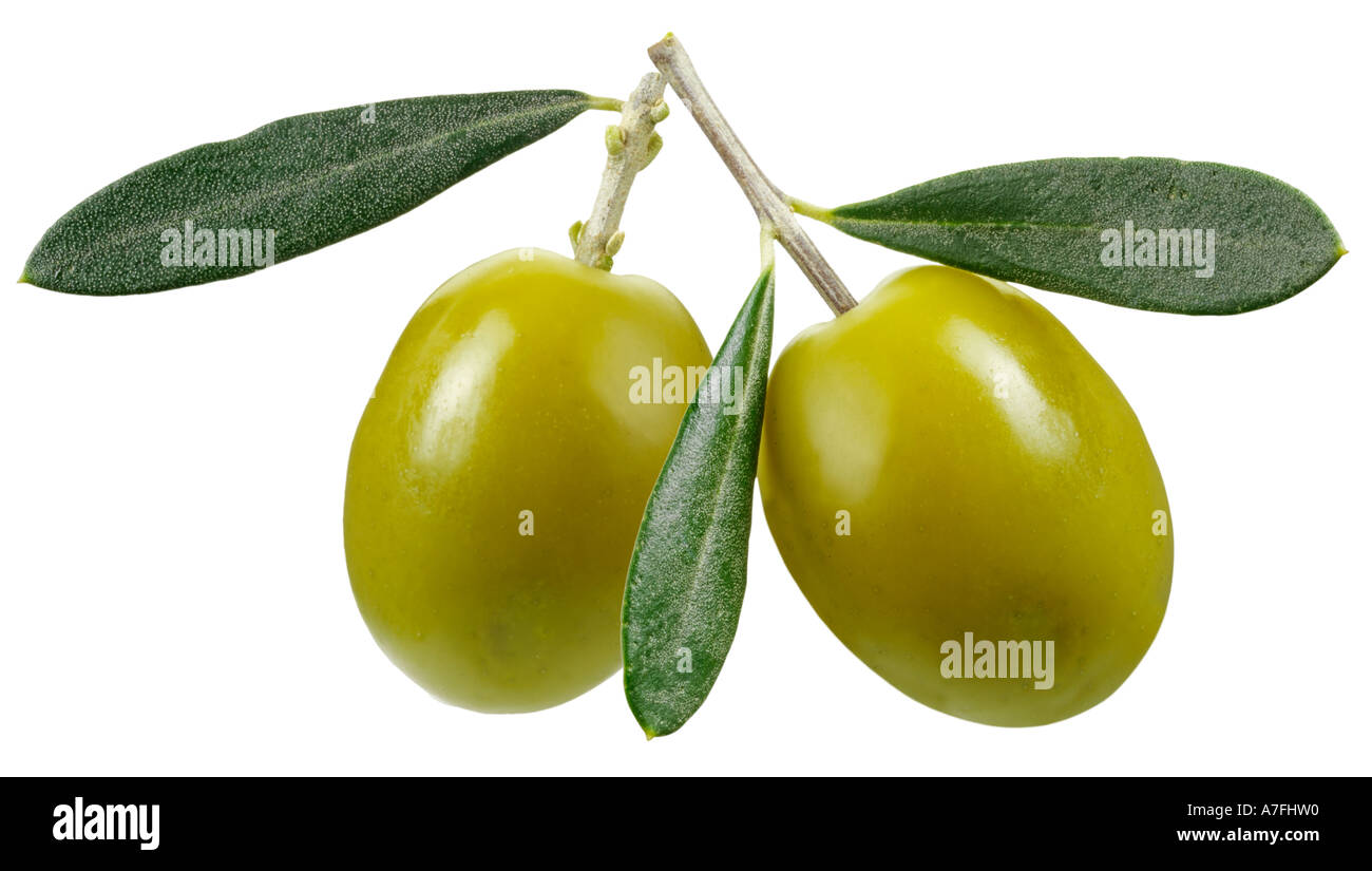 TWO OLIVES Stock Photo