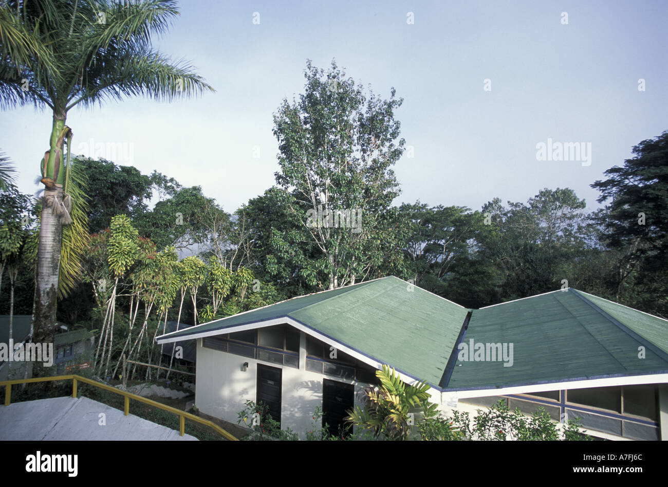 Costa Rica, San Vito. Wilson Botanical Gardens. Decks in forest, Las