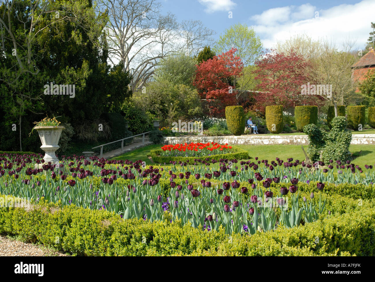 Spring flowers at Groombridge Place Gardens in Kent. Stock Photo