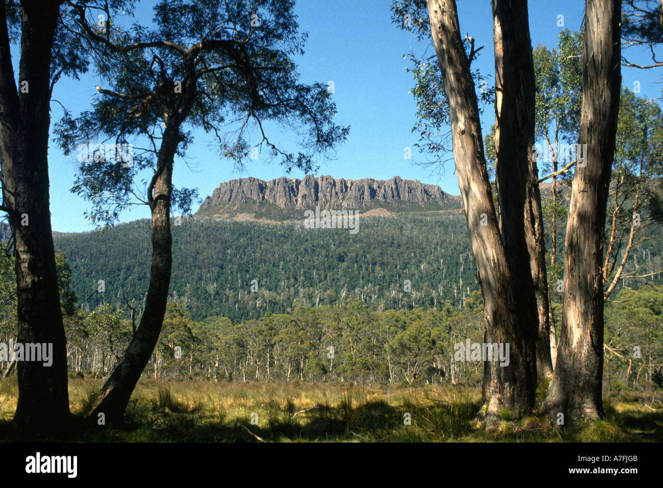Mt Olympus from near Narcissus Tasmania Australia Stock Photo