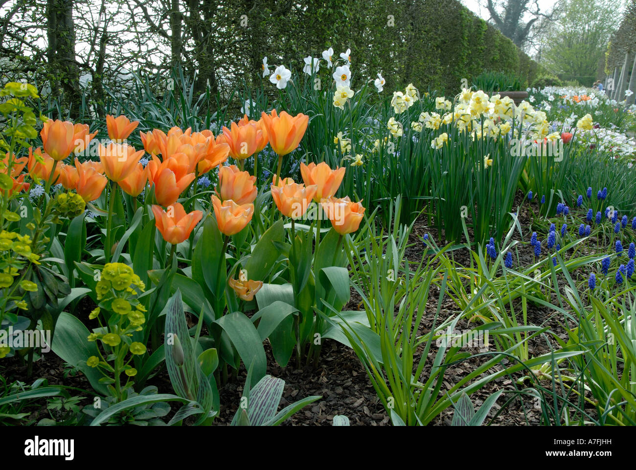 Sissinghurst Spring Sissinghurst gardens spring hi-res stock photography and images - Alamy
