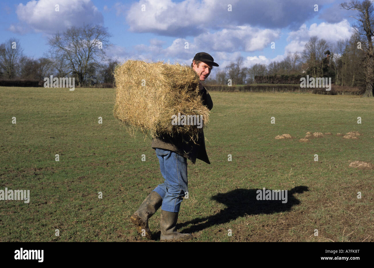 Farmer carrying hale bale for newborn lambs Kent UK Stock Photo Alamy