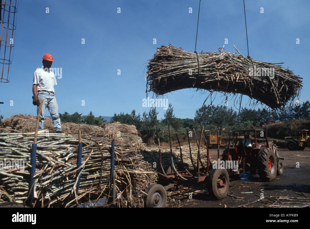 Costa Rica, Grecia, Sugar Harvest and productionrefining Stock Photo