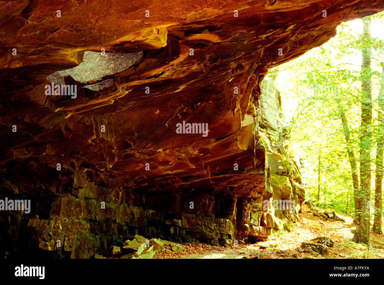 More glory hole search seems Opinion you glory hole search