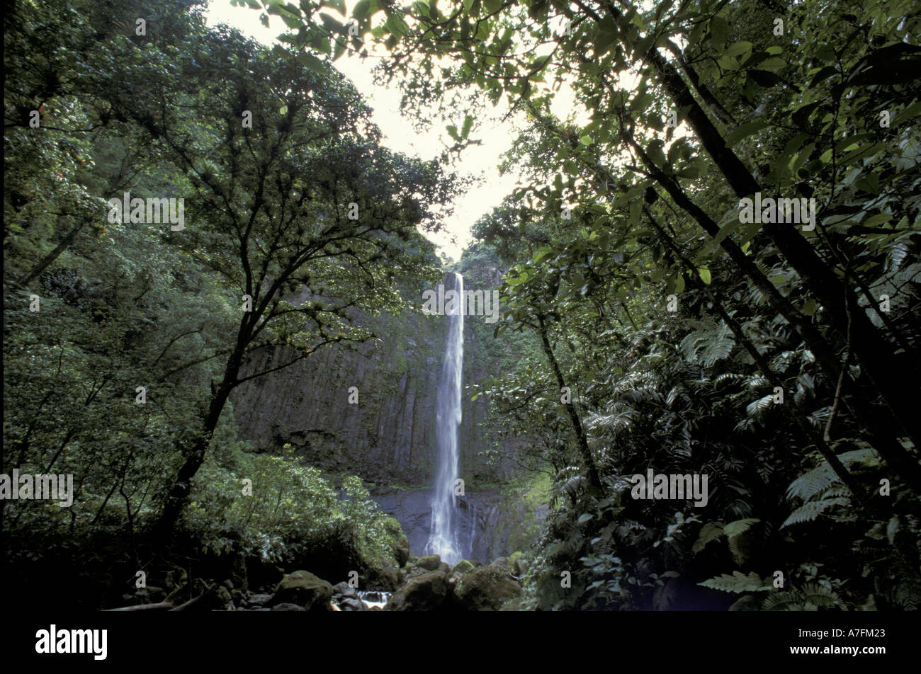 Cocos island costa rica forest hi-res stock photography and images - Alamy