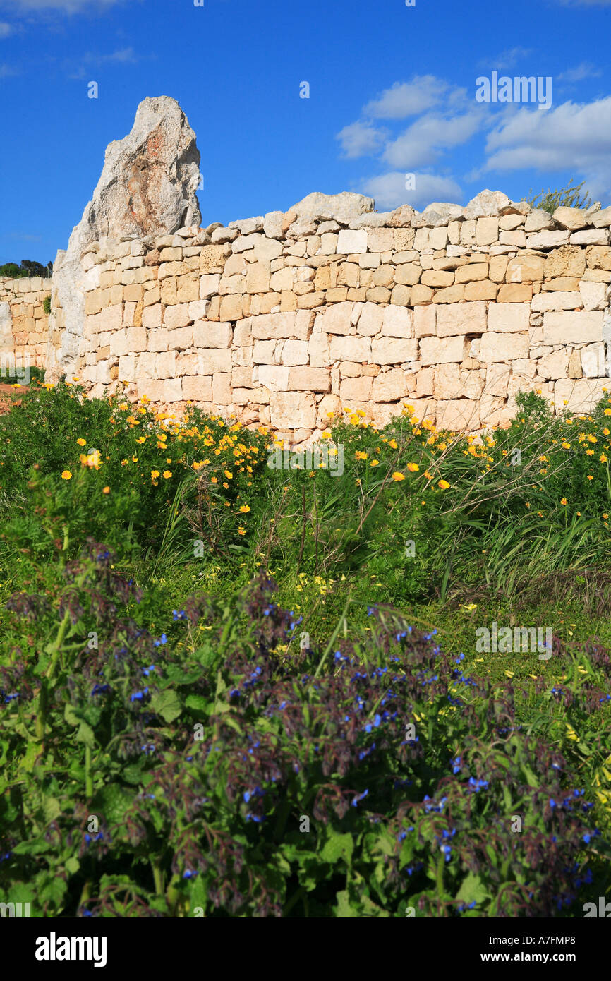 Hagar Qim Temple Malta Stock Photo Alamy