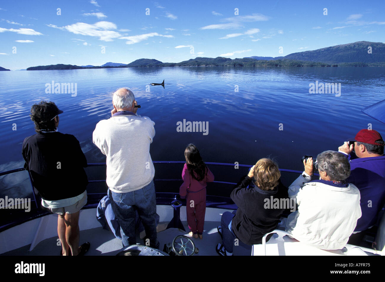 North America, USA, Alaska, Southeast, Prince William Sound. Killer whale watchingA (MR) Stock Photo