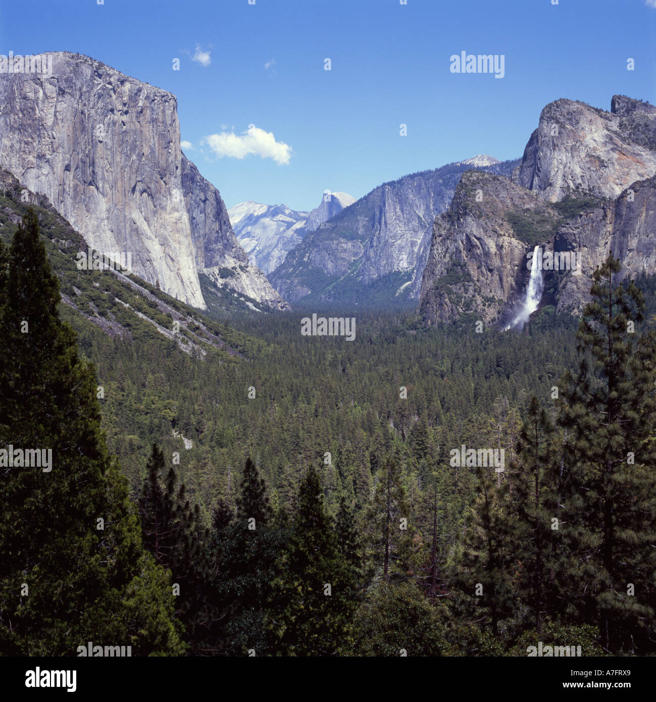 Yosemite National Park - El Capitan, Half Dome and Bridalveil Falls Stock Photo