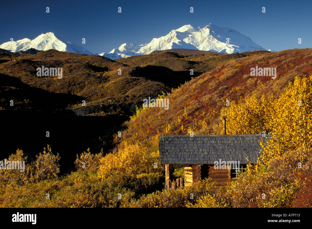NA, USA, Alaska, Denali NP, Denali, towers over a log cabin on fall tundra Stock Photo Alamy