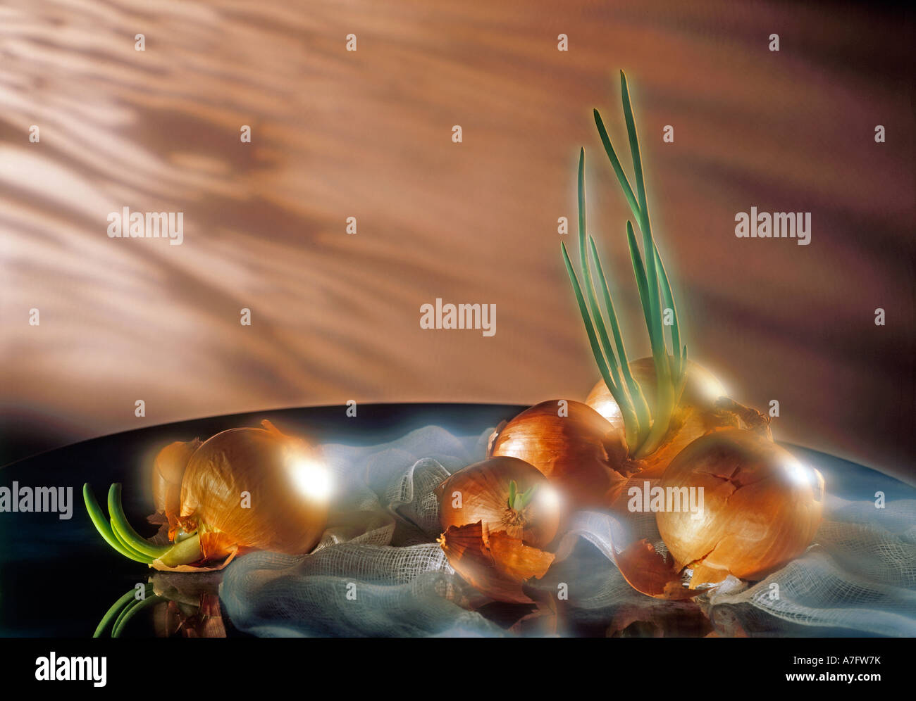 Onions with roots hi-res stock photography and images - Alamy