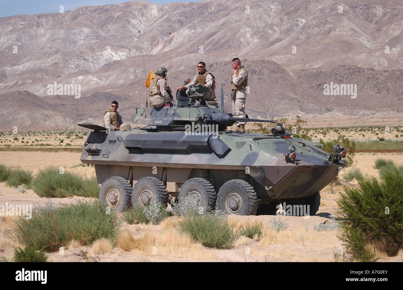 Light armored vehicle crewmen take a break under the high desert sun after spending some time exercising platoon formations. Stock Photo