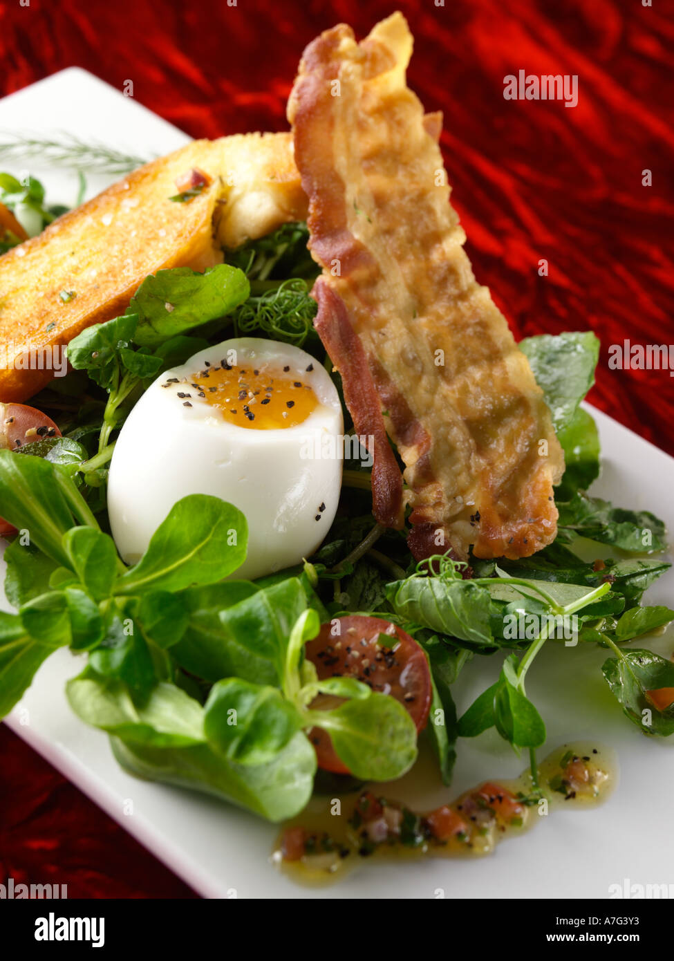 Bacon and Egg appetizers Stock Photo Alamy