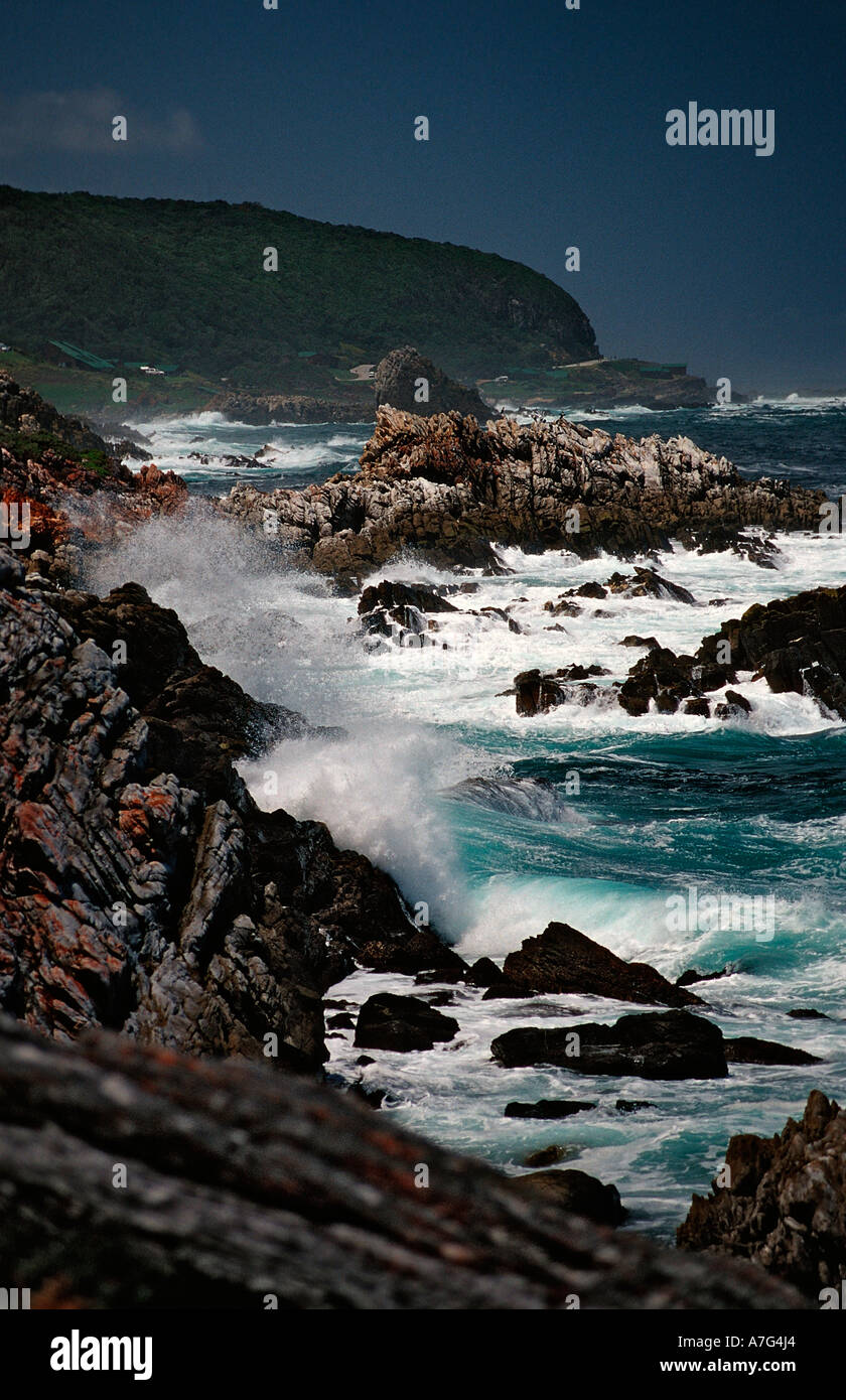 Sharp Rock coast South Africa Tsitsikamma National Park Otter trail ...