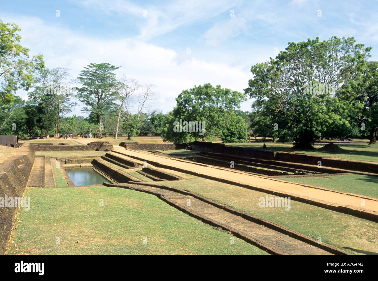 Elaborate irrigation channels and ancient trees in the water gardens of