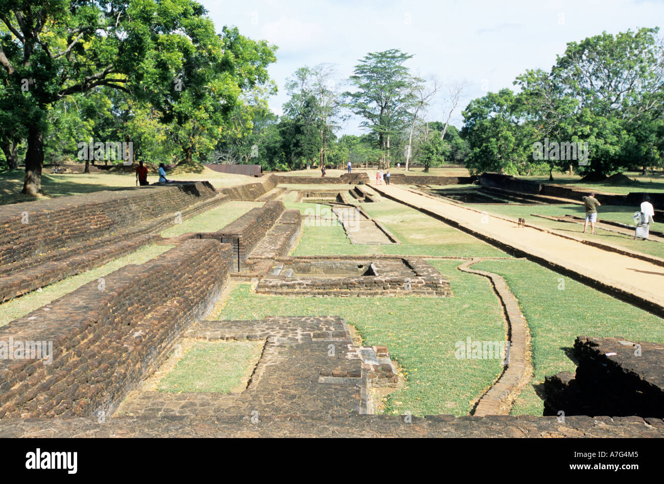View of irrigation channels and ancient trees in the water gardens of