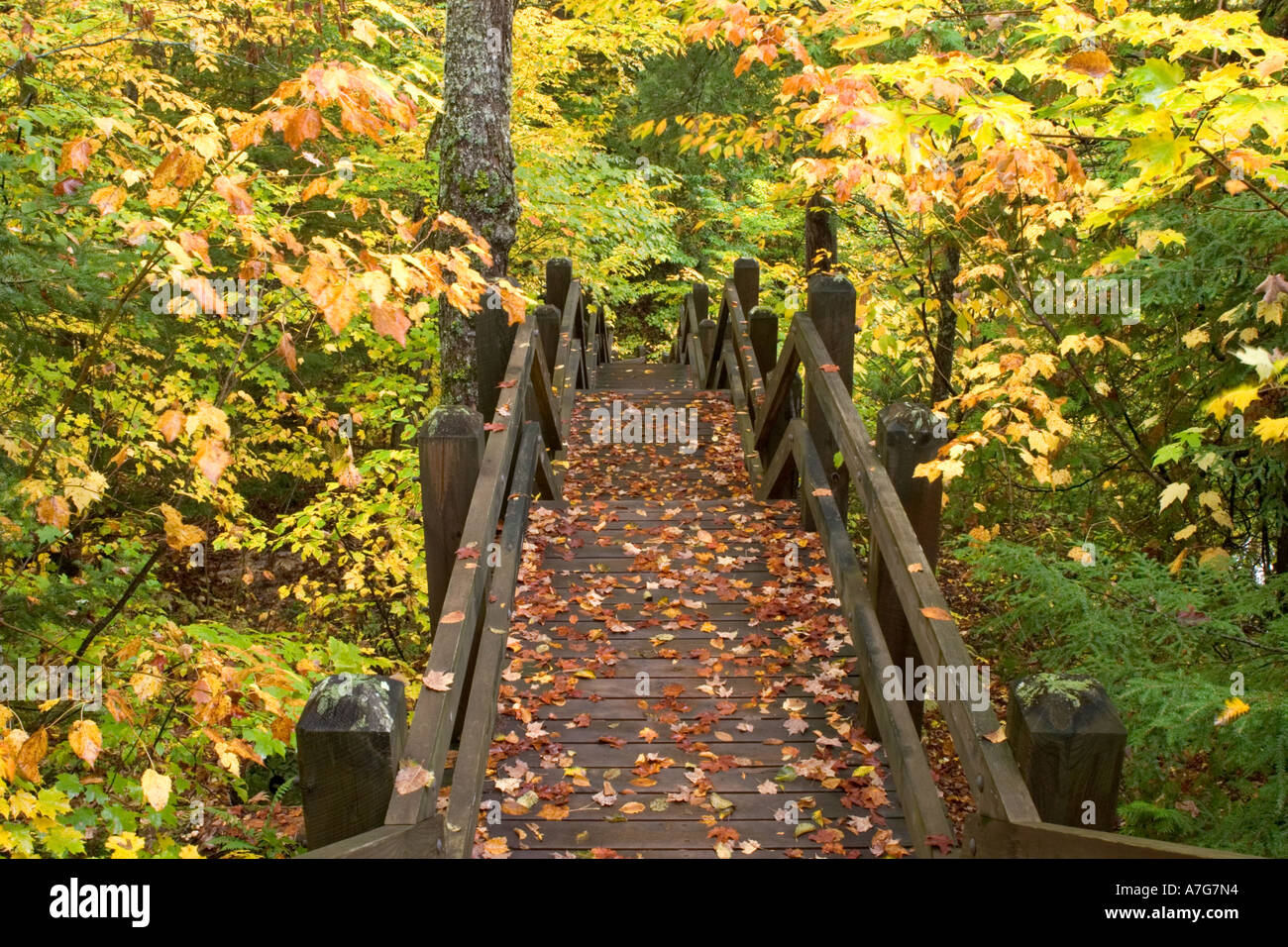 Boardwalk to Laughing Whitefish Falls in the Michigan Upper Peninsula Stock Photo