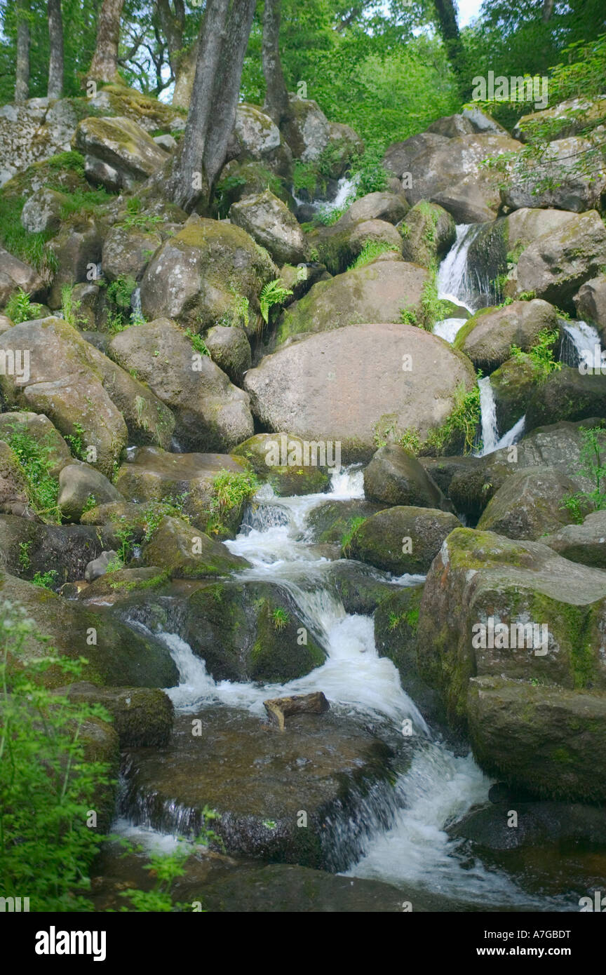 Becky Falls nr Manaton Dartmoor National Park Devon Great Britain Stock