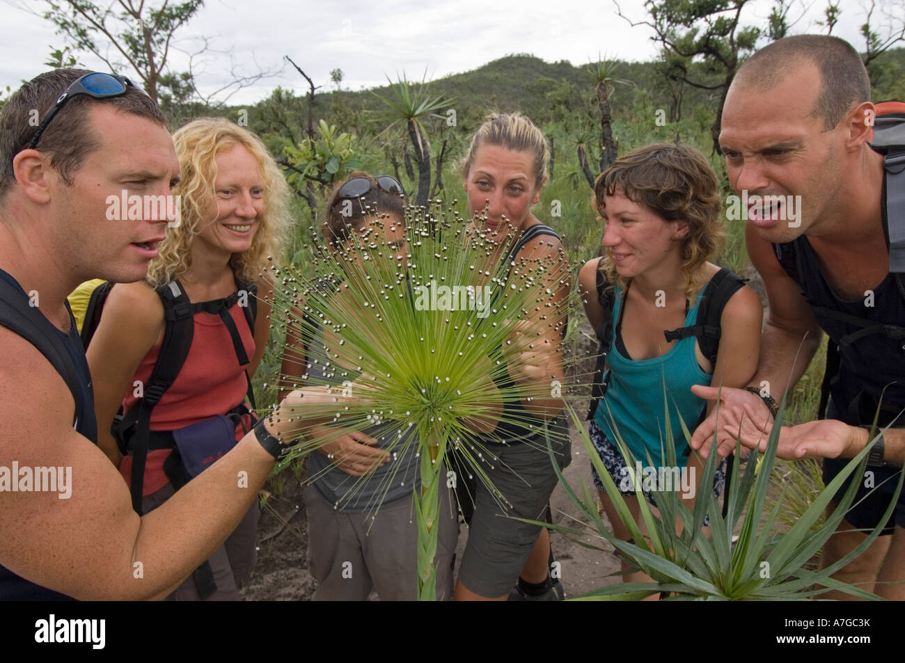 A group of tourists look and discuss the flora and fauna in The Chapada dos Veadeiros National Park of Brazil. Stock Photo