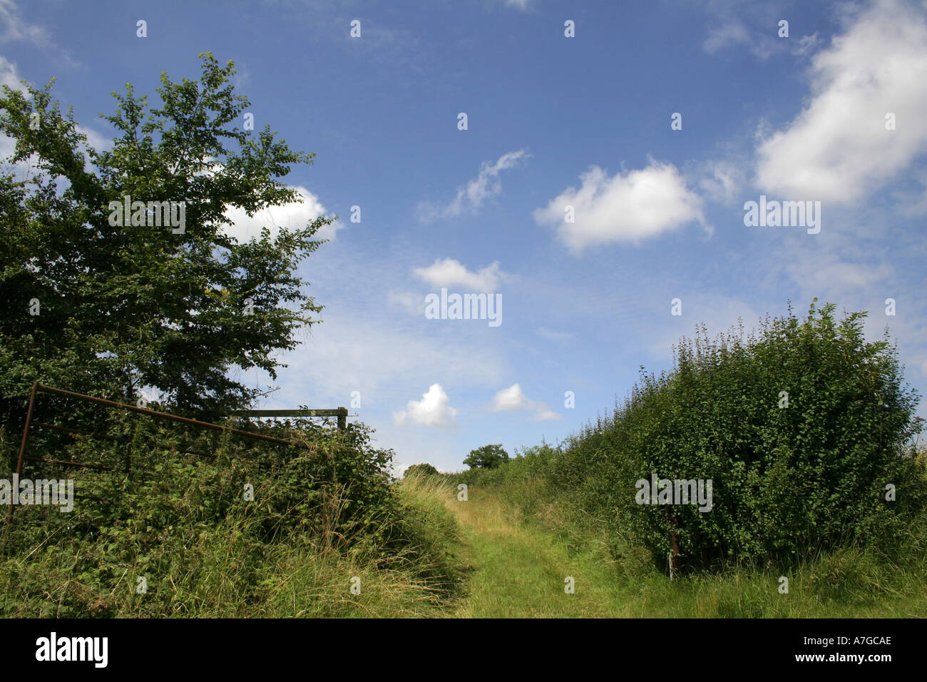 Footpath Track Stock Photo