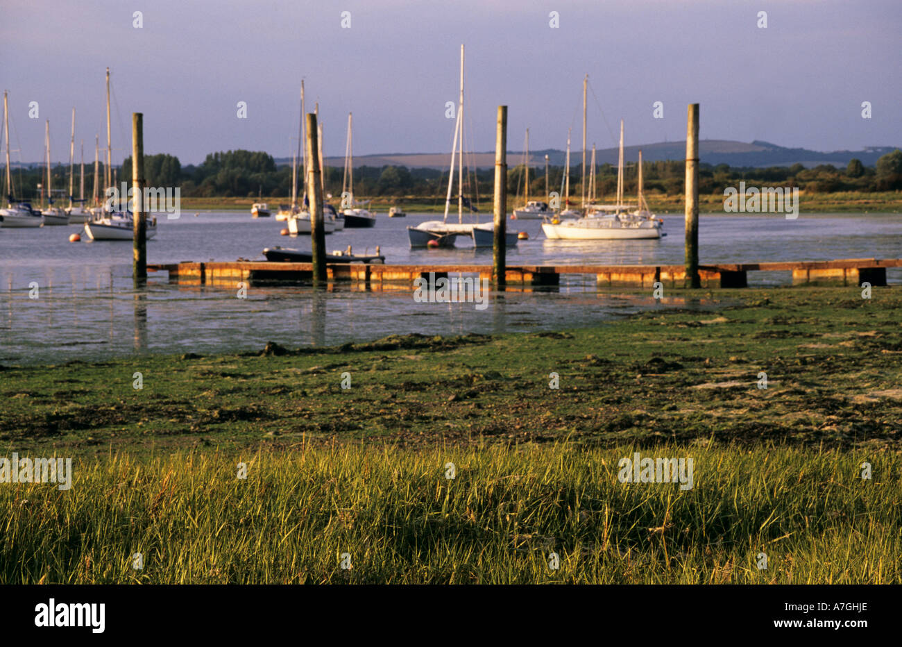 Chichester Harbour from Dell Quay West Sussex England UK Stock Photo