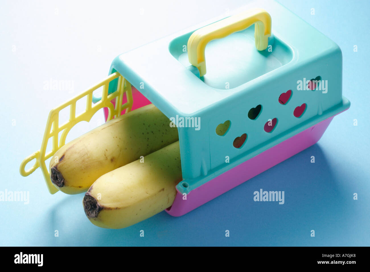 Bananas in Plastic Carry Case Stock Photo Alamy