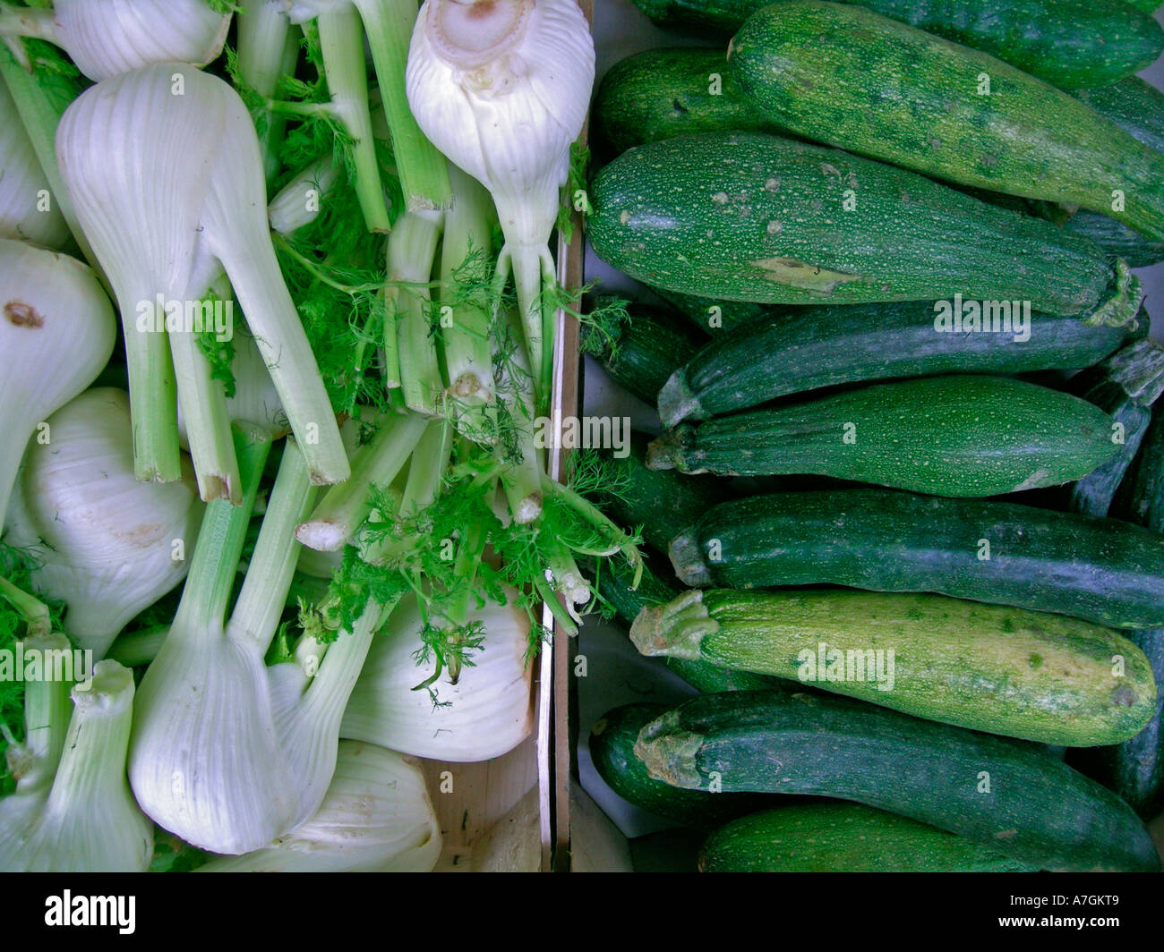 Fennel zucchinis hires stock photography and images Alamy